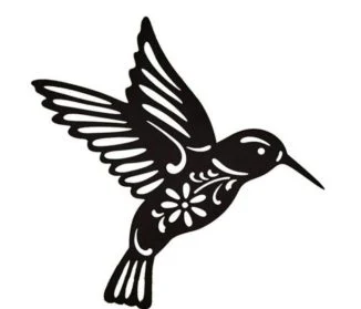 Joyful Journeys of a Hummingbird